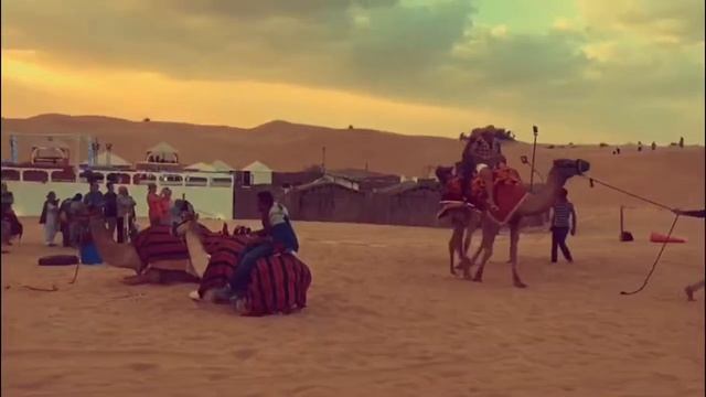 Best Desert Safari in Dubai - The Dream Tourism