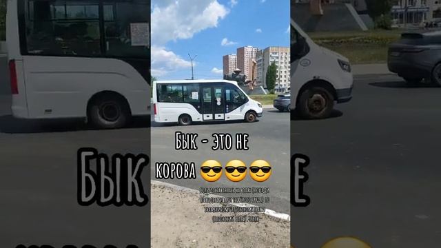 Символ Энгельса🐂 ОЧЕНЬ ЧИСТЫЙ И УЮТНЫЙ ГОРОД👍 #ЭНГЕЛЬС #символэнгельса #путишествие #россия #прикол