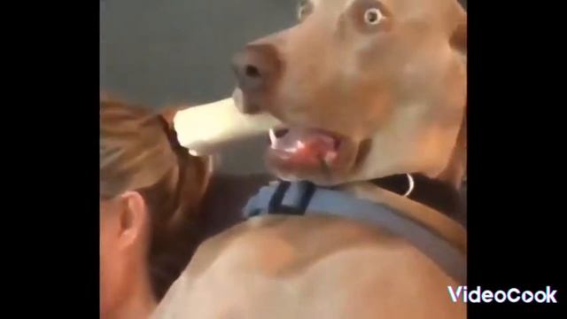 Обидеть меня может каждый, не каждый может убежать! Сезон 1серия 2