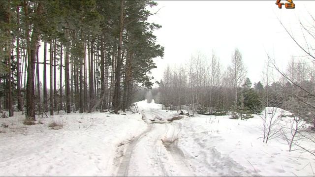 05.03.2022. Коломенские леса очищают от погибших и повреждённых деревьев