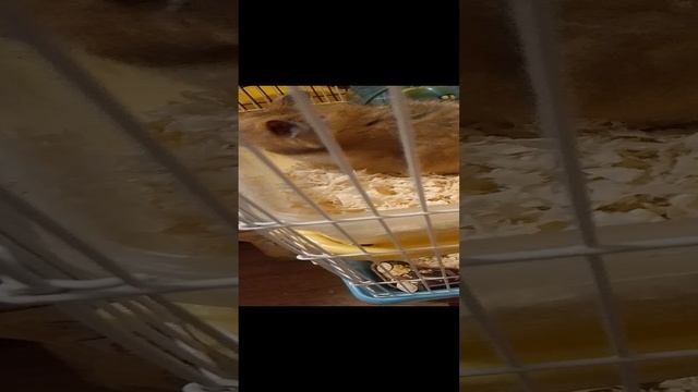 1000003876.mp4