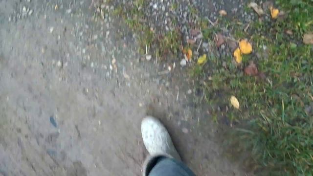 Ужасный дом