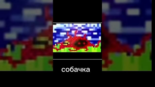 ой собачка