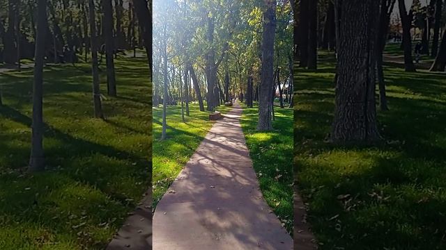 Парк