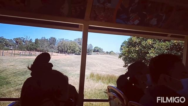 Safari Tour @ Werribee Open Range Zoo - Restrictions in place. #phamatomic