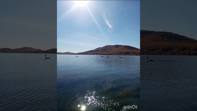 Отдых на озере Банном