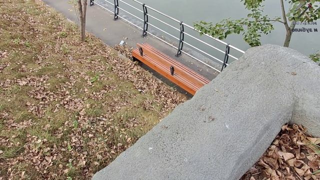 Пруды на Новочеркасском