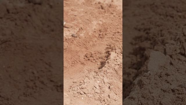 Большая игра в песочнице