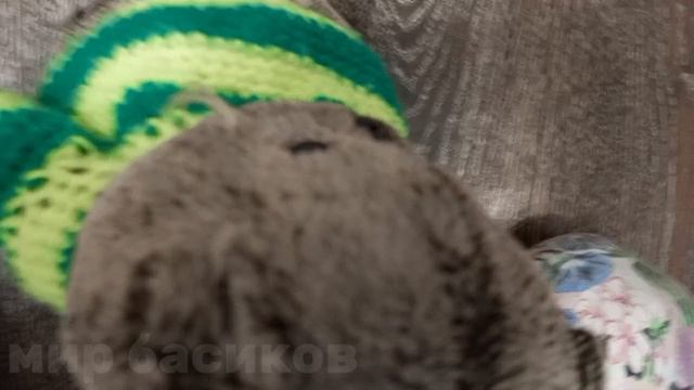удача целый день❤