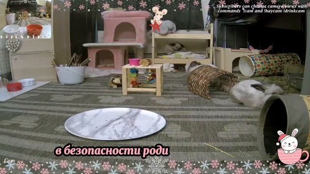 СОБИРАЙ ВЕЩИ. ЗАЯВИЛ МУЖ,ЭТО БУДЕТ МОЯ КВАРТИРА! ТЫ ТАК РЕШИЛ. ИСТОРИИ ИЗ ЖИЗНИ