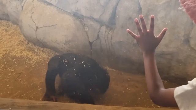 Dubai Safari Park | Zoo at Dubai |