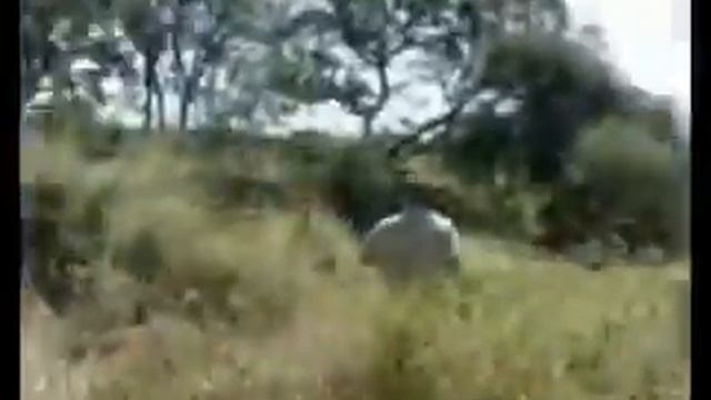 Grootpan Hunting Safaris