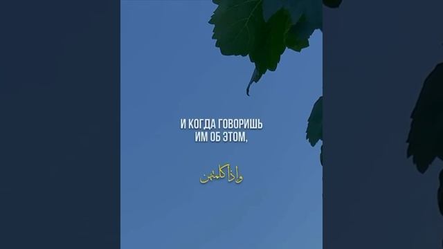 МОЛОДЕЖЬ СТАЛА ЖЕНСТВЕННОЙ