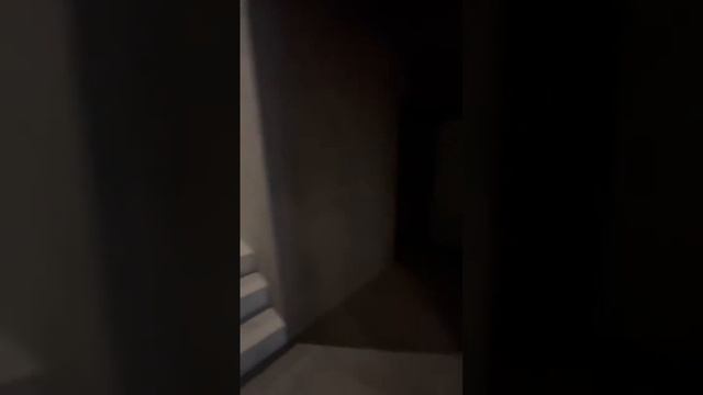Международное Юридическое Бюро. офис г. Волгоград