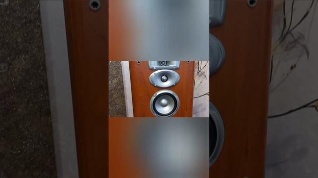 1000022147.mp4