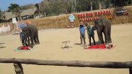 Thai massage in Safari park at Hua Hin, Thailand
