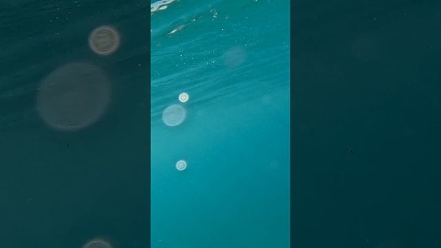 Невероятный первый полёт на флайборде эмоции зашкаливают
