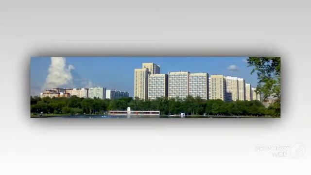 сделки с недвижимостью шабалин купить