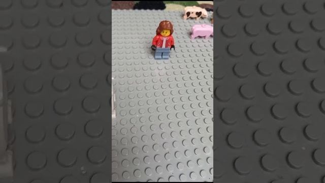 VID-20241027-WA0003