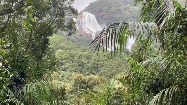 A #mesmerising trip to Goa Dudhasagar waterfall behind Karnataka western ghats #love #beautiful