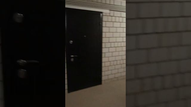 Подьезд г Саратов ул Лисина 10