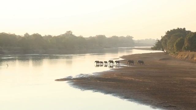 African Safari Tour Adventure | Overland African Safari Tour