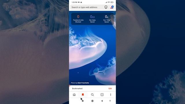 Brave Private Web Browser App Kaise Use Kare || How To Use Brave Web Browser App