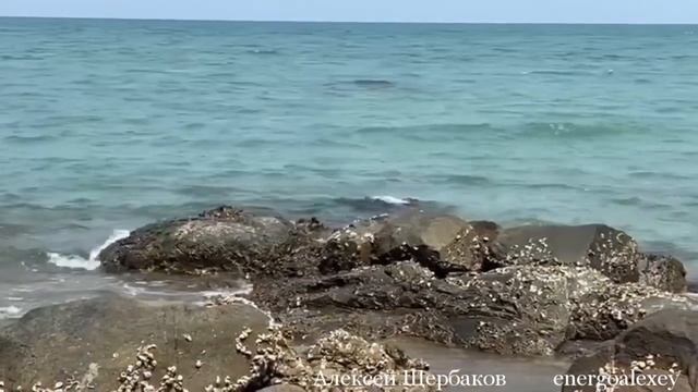 “Живая Вода” медитация-подарок!