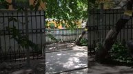 Захватил ? Докажи ! ООО БИК застройщик Воронеж. Путин как ты допустил это???