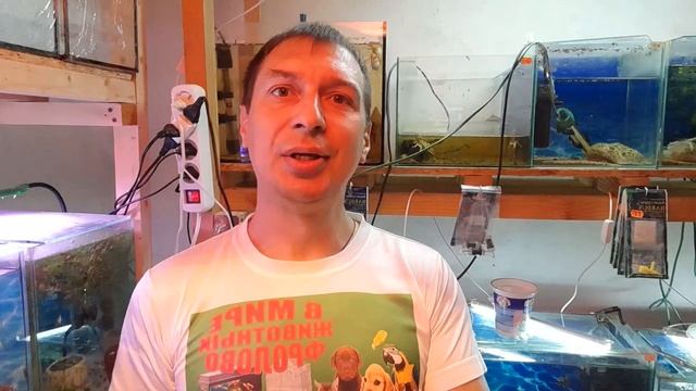 Черепахи и рыбки в одном аквариуме! Возможно?