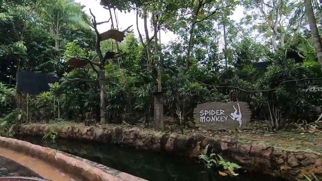 River Safari Boat Ride