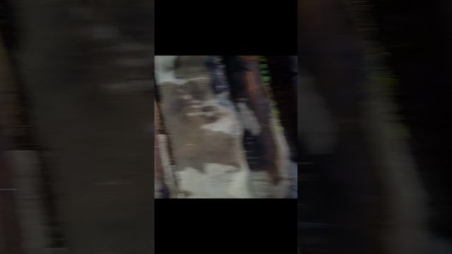ну как вам?