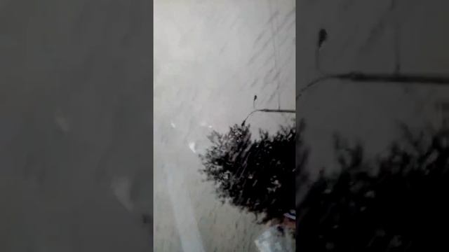 Когда приехал с партизанска