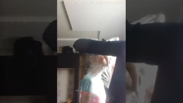 меня обматала подрушка