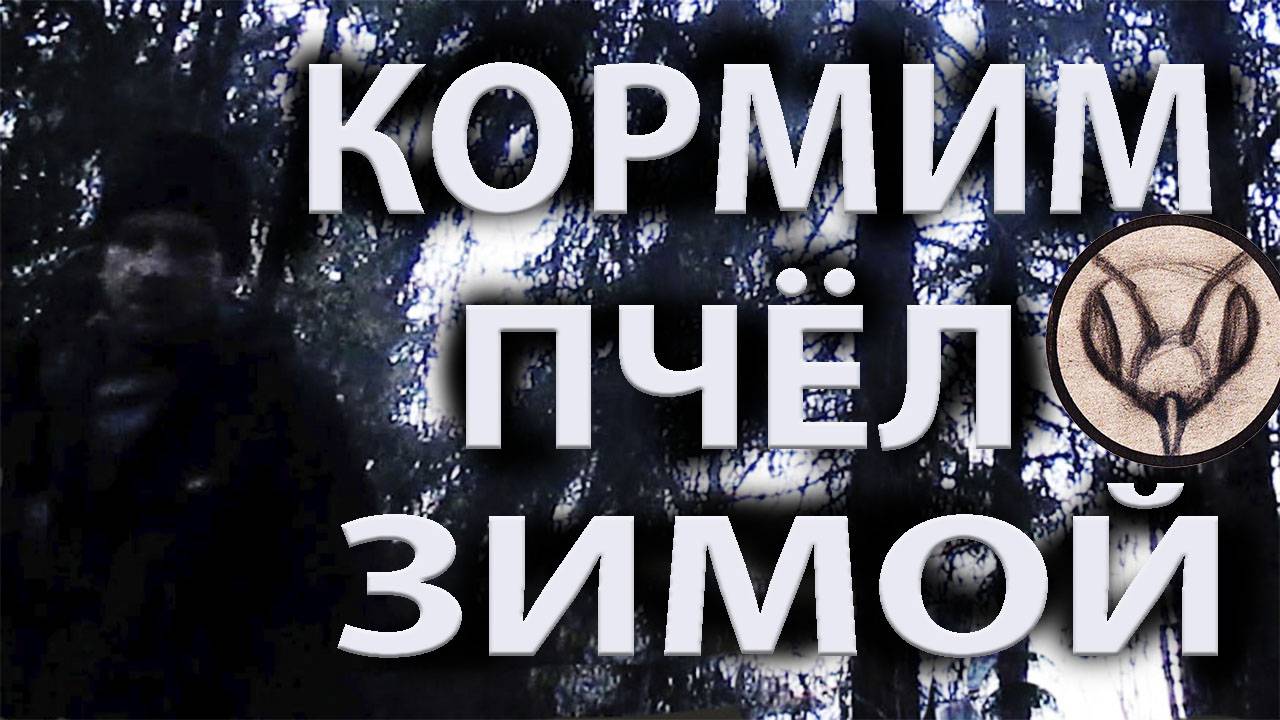 Кормушка для пчёл. #28 видео 2024г. Простота устройства, простота в обслуживании