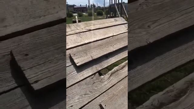 Снаряды на площадке для собак в КП Кембридж