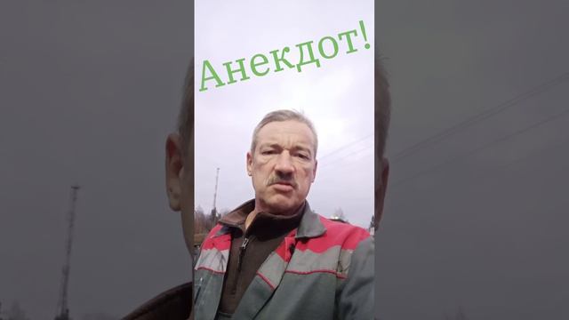 Анекдот про ковбоев и лошадь!