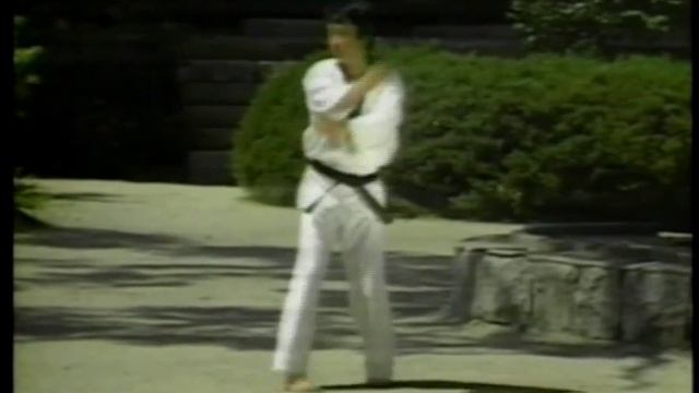 Taekwondo Секреты мастерства 2 часть