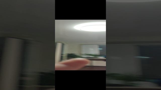 Лимон
Топ