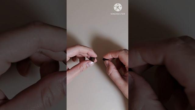 Вырастить Оливу из косточки