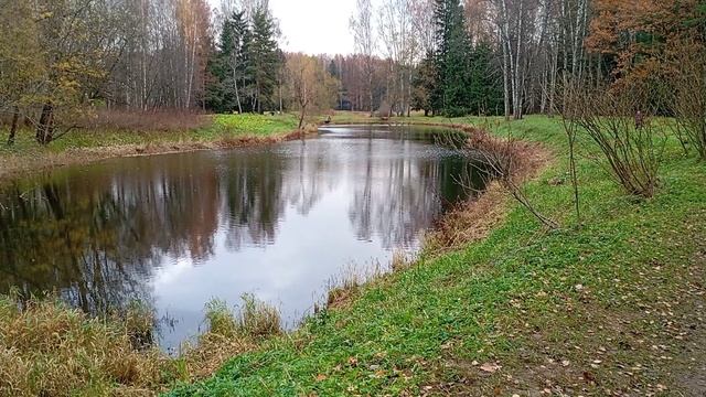 Павловск. Часть 1. Осенний Лес. Обзор парка. Прогулка вместе с адвокатом