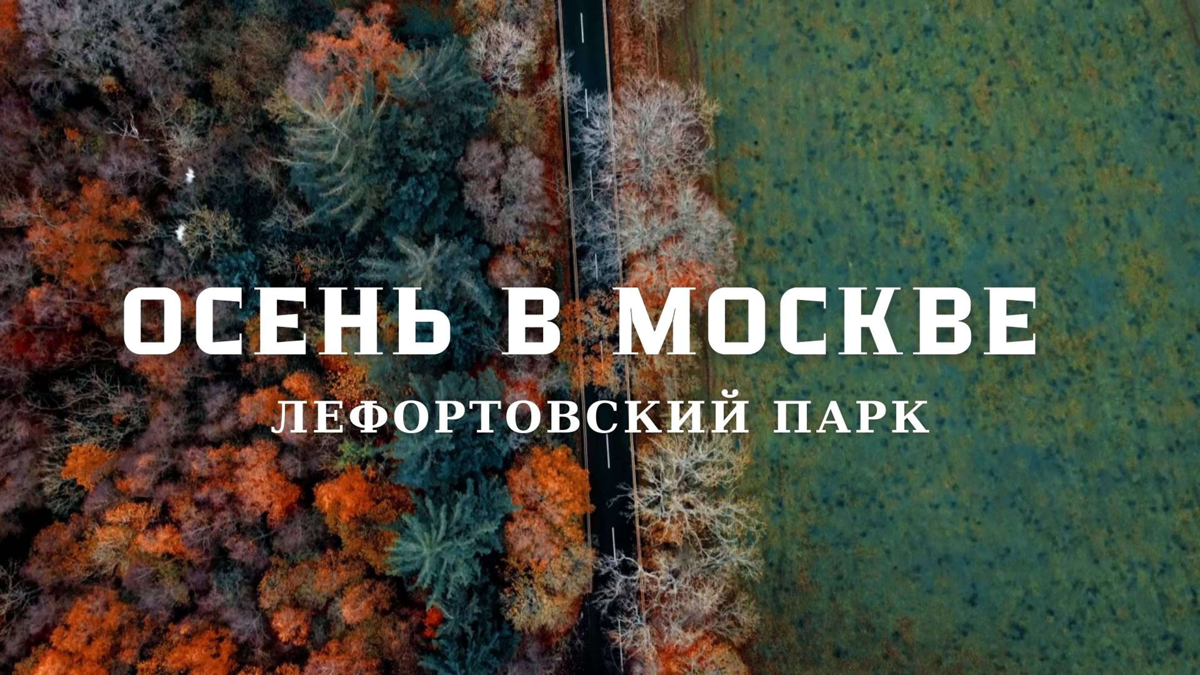 Осень в Москве Лефортовский парк