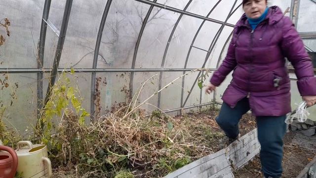 ПОДГОТОВКА ТЕПЛИЦЫ К СЛЕДУЮЩЕМУ СЕЗОНУ