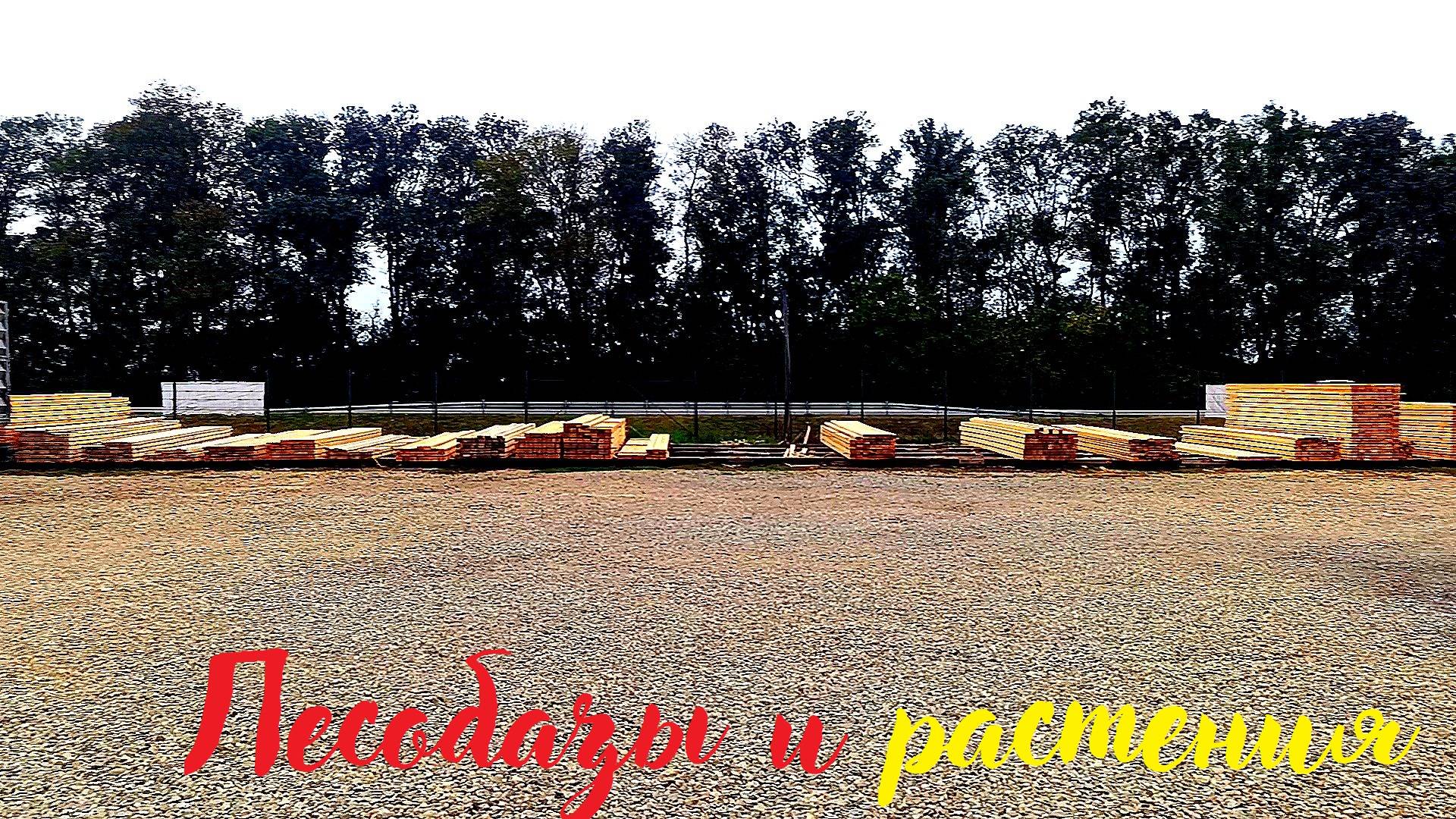 Ездим по лесобазам. Продаем банановые деревья. Сажаем хурму