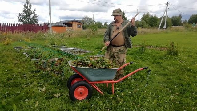 11.08.2024 Спокойствие и только спокойствие ,все стабильно и это радует.