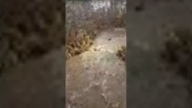 Программирование подсознания на успех