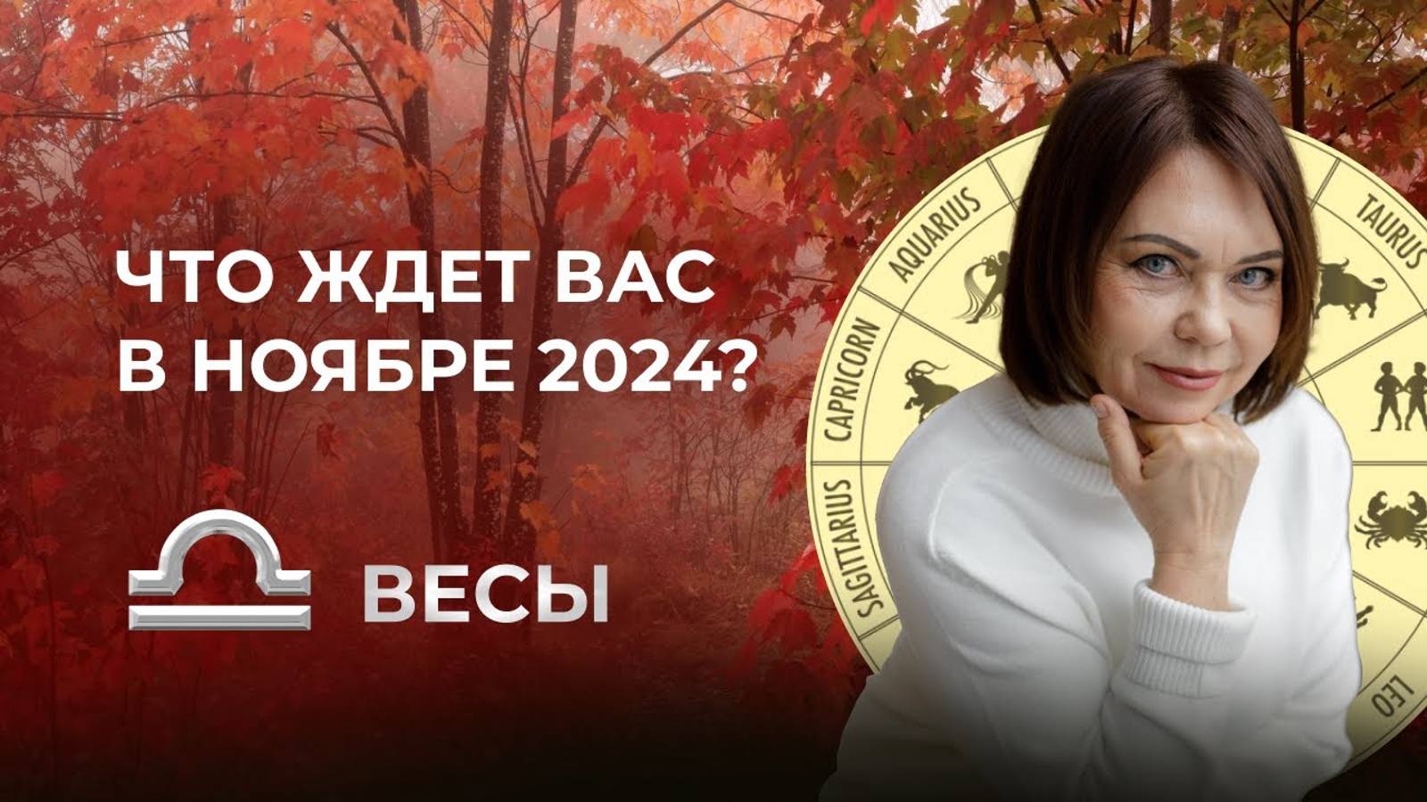 Прогноз для Весов на Ноябрь 2024: Финансовый Подъем и Новые Контакты!