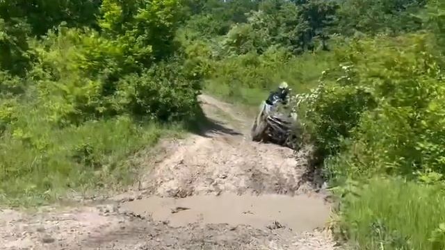 Ягуар 850