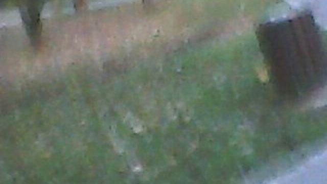 ОСЕННИЙ УЛИЧНЫЙ БЛОГ №1191 ПРОГУЛКА ПО БУТОВО ((ДУБЛЬ ДВА))((ВТОРАЯ ЧАСТЬ...)))