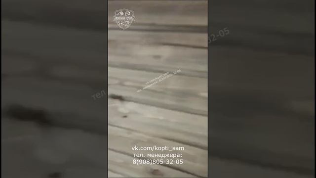 Коптильная камера от Копти и Точка, видео отзыв от клиента